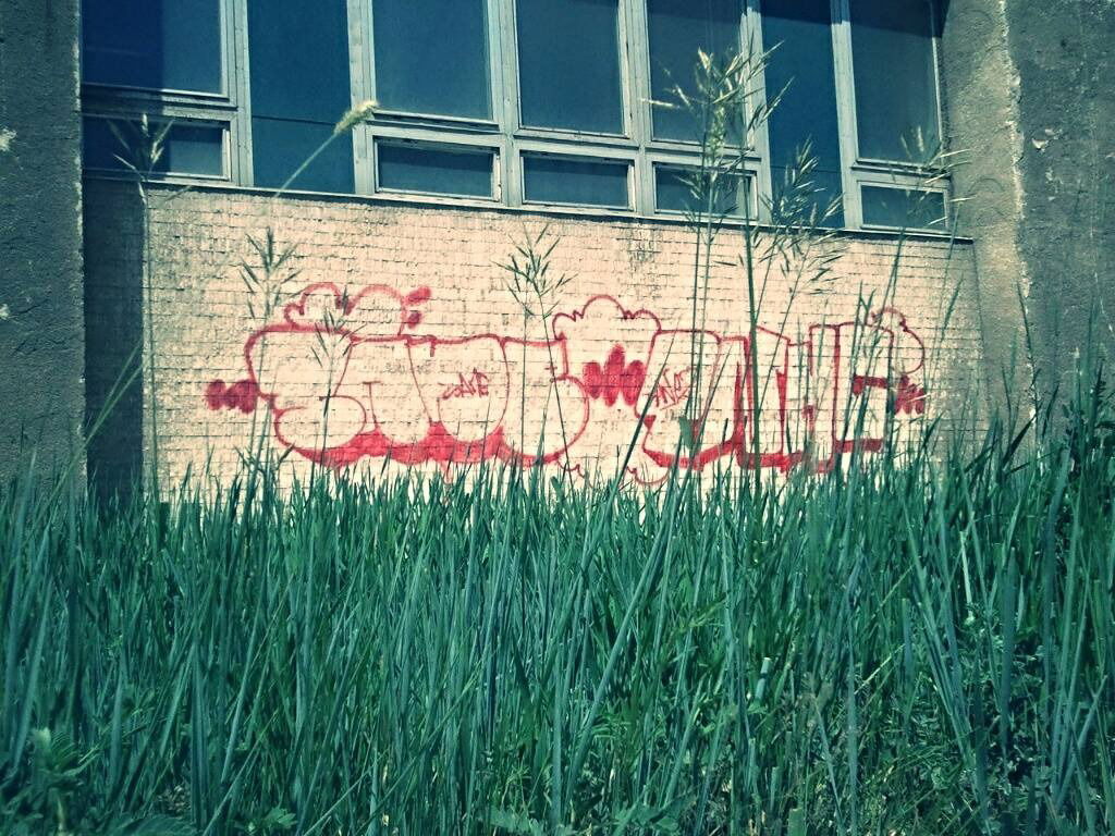 Graffiti Bombing - Photo by sane2 - sane2, sanetwo, tnmc