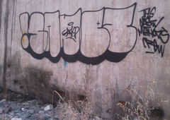 Graffiti Bombing - Photo by sane2 - sane2, sanetwo, tnmc