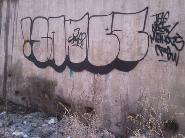 Graffiti Bombing - Photo by sane2 - sane2, sanetwo, tnmc