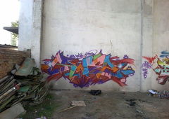Graffiti Bombing - Photo by sane2 - sane2, sanetwo, tnmc