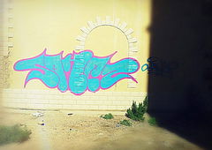 Graffiti Bombing - Photo by sane2 - sane2, sanetwo, tnmc
