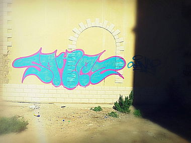 Graffiti Bombing - Photo by sane2 - sane2, sanetwo, tnmc