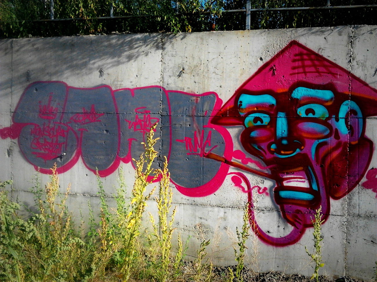 Graffiti Bombing - Photo by sane2 - sane2, sanetwo, tnmc