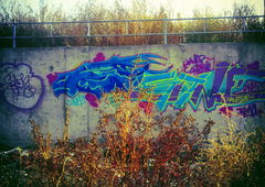 Graffiti Bombing - Photo by sane2 - sane2, sanetwo, tnmc