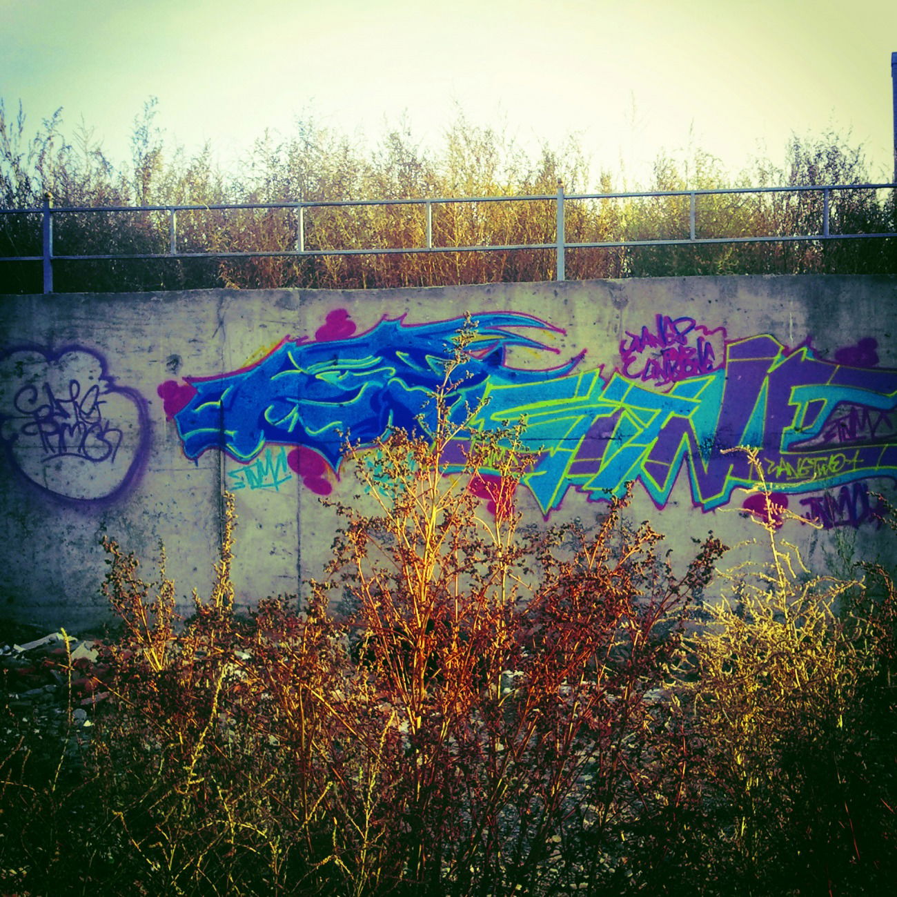 Graffiti Bombing - Photo by sane2 - sane2, sanetwo, tnmc
