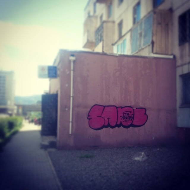 Graffiti Bombing - Photo by sane2 - sane2, sanetwo, tnmc