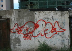 Graffiti Bombing - Photo by sane2 - sane2, sanetwo, tnmc