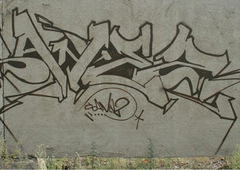 Graffiti Bombing - Photo by sane2 - sane2, sanetwo, tnmc