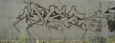 Graffiti Bombing - Photo by sane2 - sane2, sanetwo, tnmc