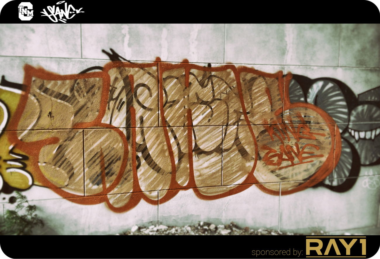 Graffiti Bombing - Photo by sane2 - sane2, sanetwo, tnmc (2016)