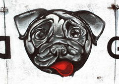 Photo #11439 by TFCrew