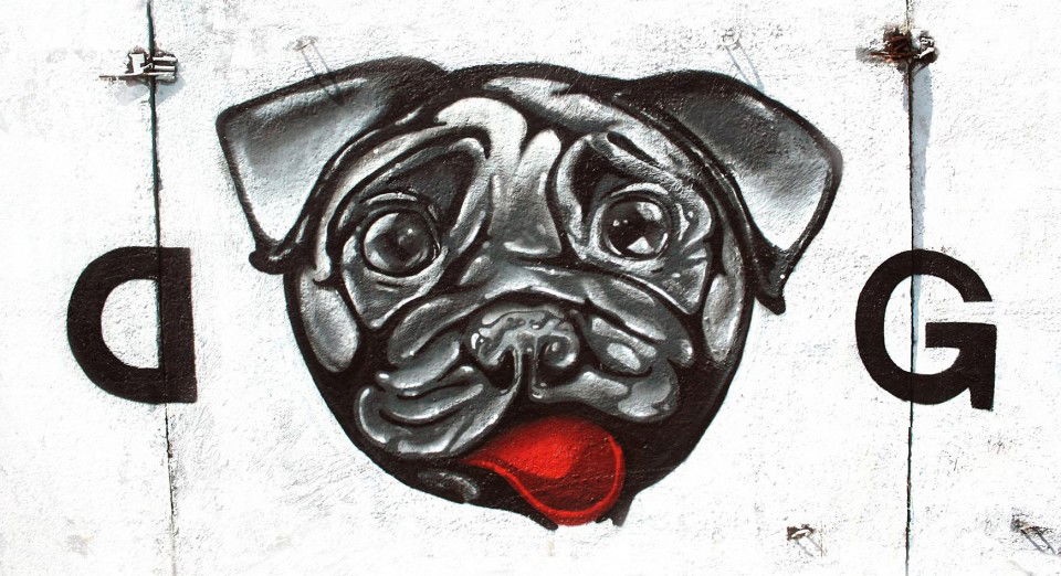 Graffiti Wall in Moscow - Photo by saprykinandrey - dog, god (2012)