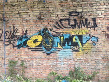 Graffiti Bombing - Photo by sashaconma (2015)