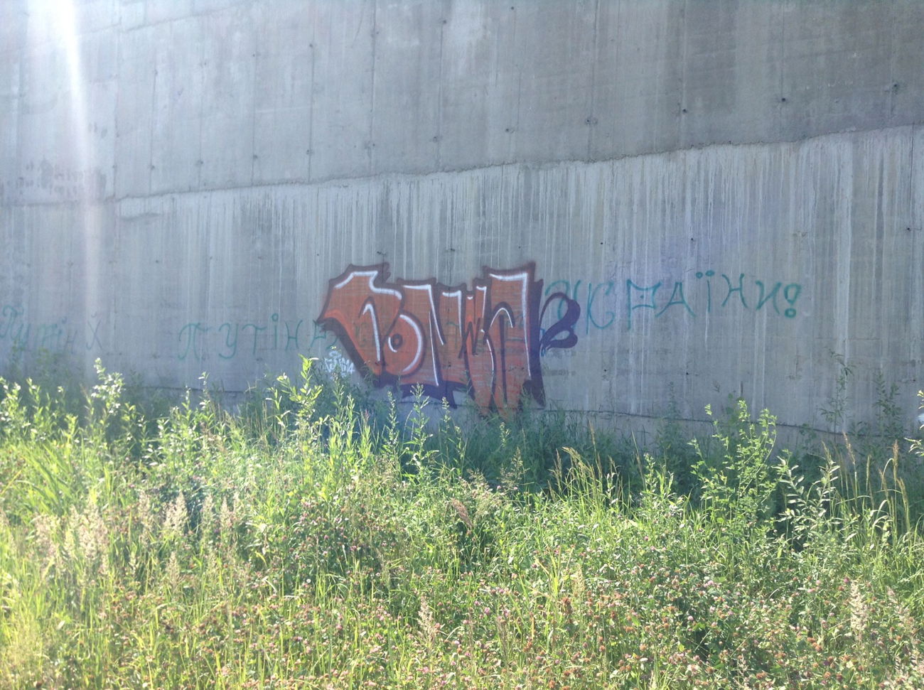 Graffiti Bombing - Photo by sashaconma (2015)