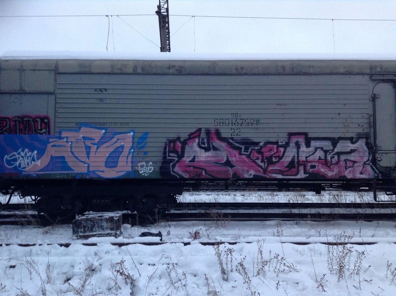 Graffiti Train - Photo by sashaconma - sashaconma, abocrew, Graffiti (2016)
