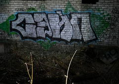 Photo #237075 by soket2dsl