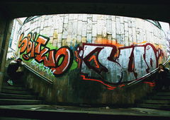 Photo #10956 by Saymon