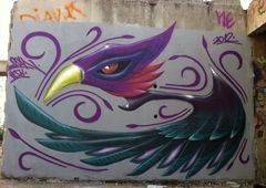 Photo #31379 by Belt