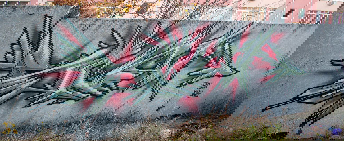 Graffiti Wall - Photo by scan