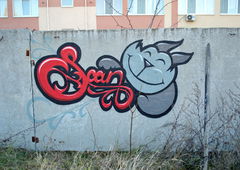 Photo #49078 by Belt