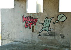 Photo #56284 by Belt