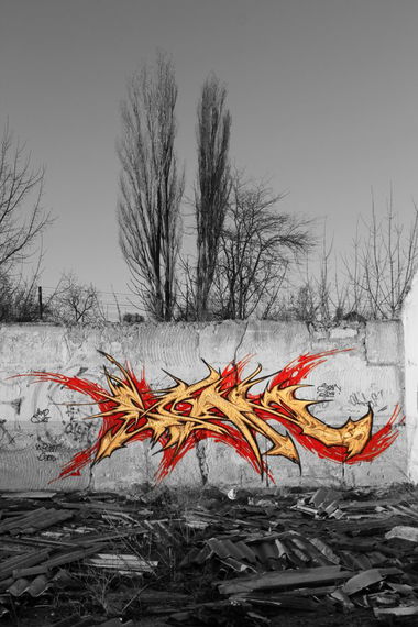 Graffiti Wall - Photo by scan - scan (2014)