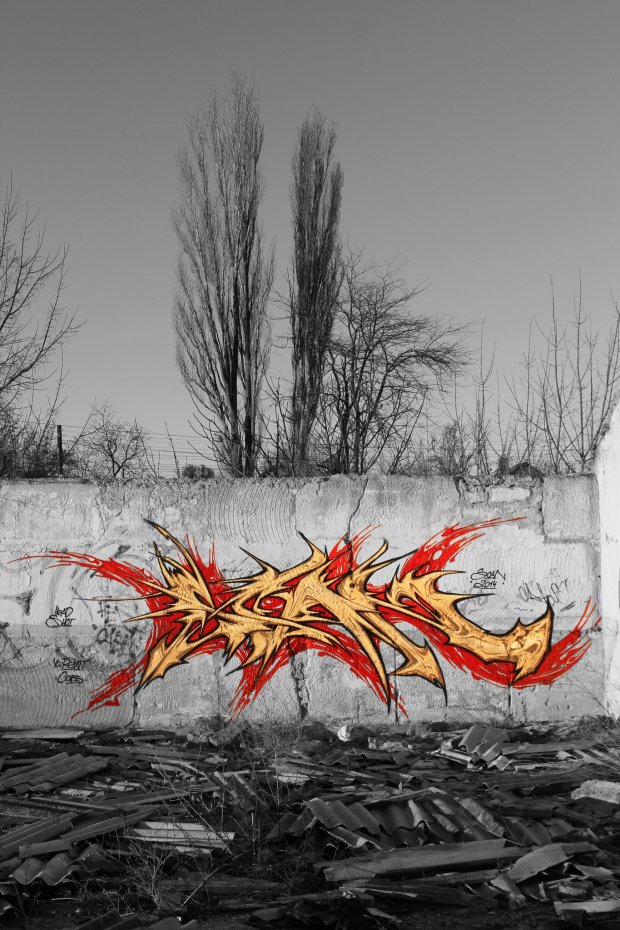 Graffiti Wall - Photo by scan - scan (2014)