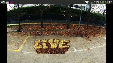 Graffiti Street Art - Photo by schachtratte - Live