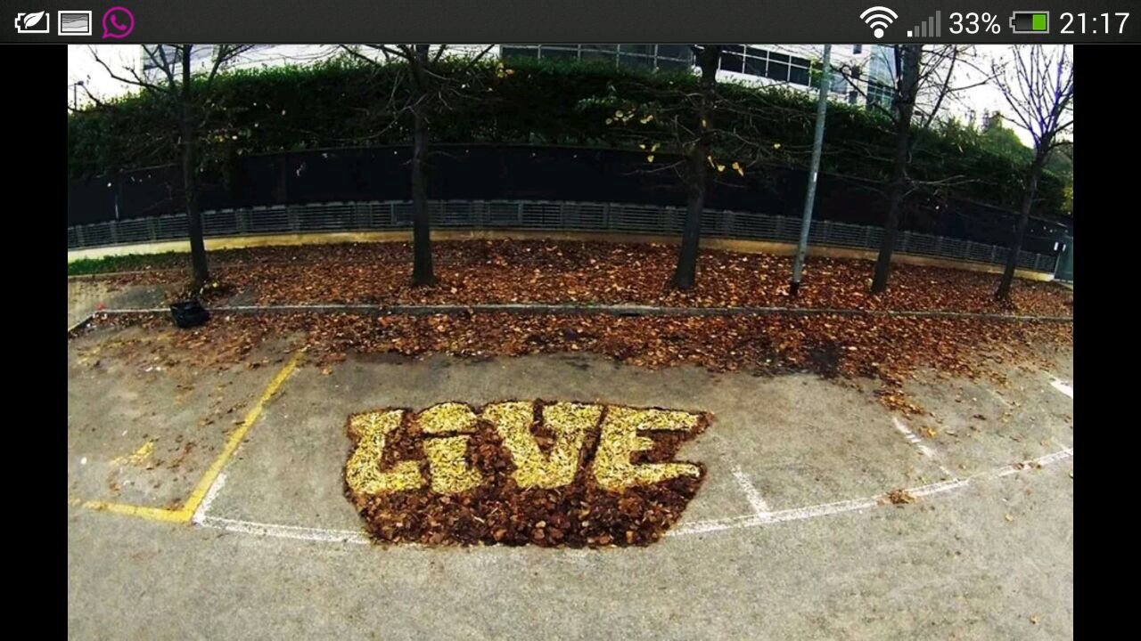 Graffiti Street Art - Photo by schachtratte - Live