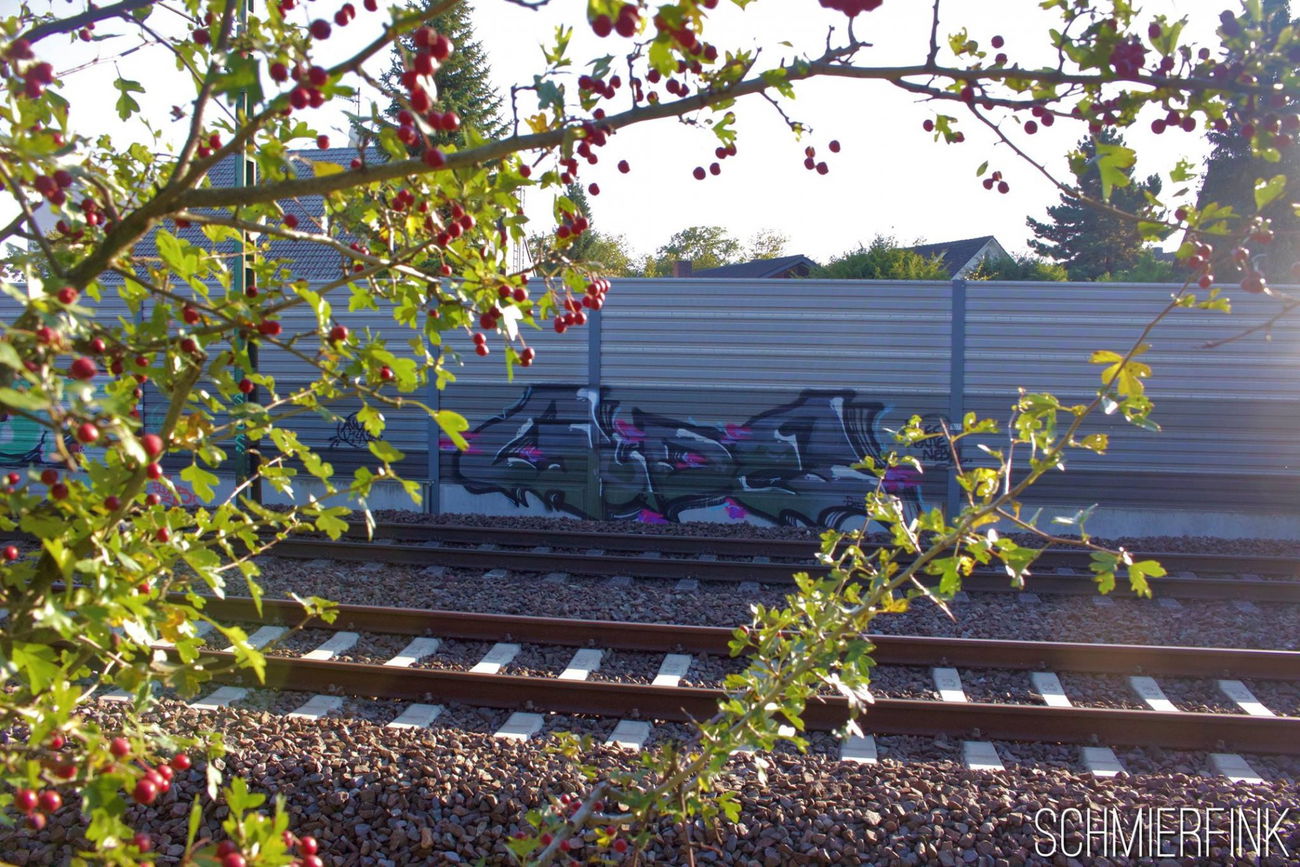 Graffiti Bombing - Photo by schmierfink1 - gude, ozf, darmstadt