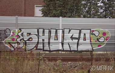 Graffiti Bombing - Photo by schmierfink1