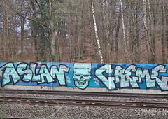 Graffiti Bombing - Photo by schmierfink1