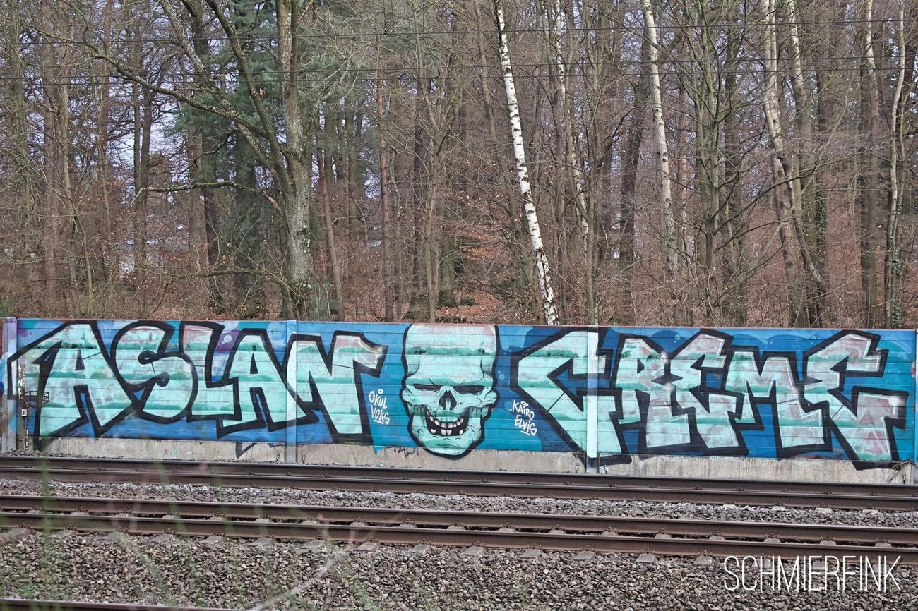 Graffiti Bombing - Photo by schmierfink1