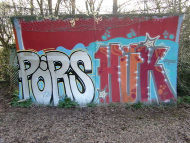 Graffiti Bombing - Photo by schmierfinken