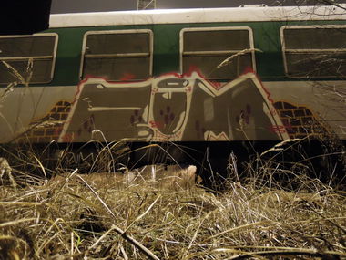 Graffiti Train in Hrusice - Photo by schmutzig - penis (2014)