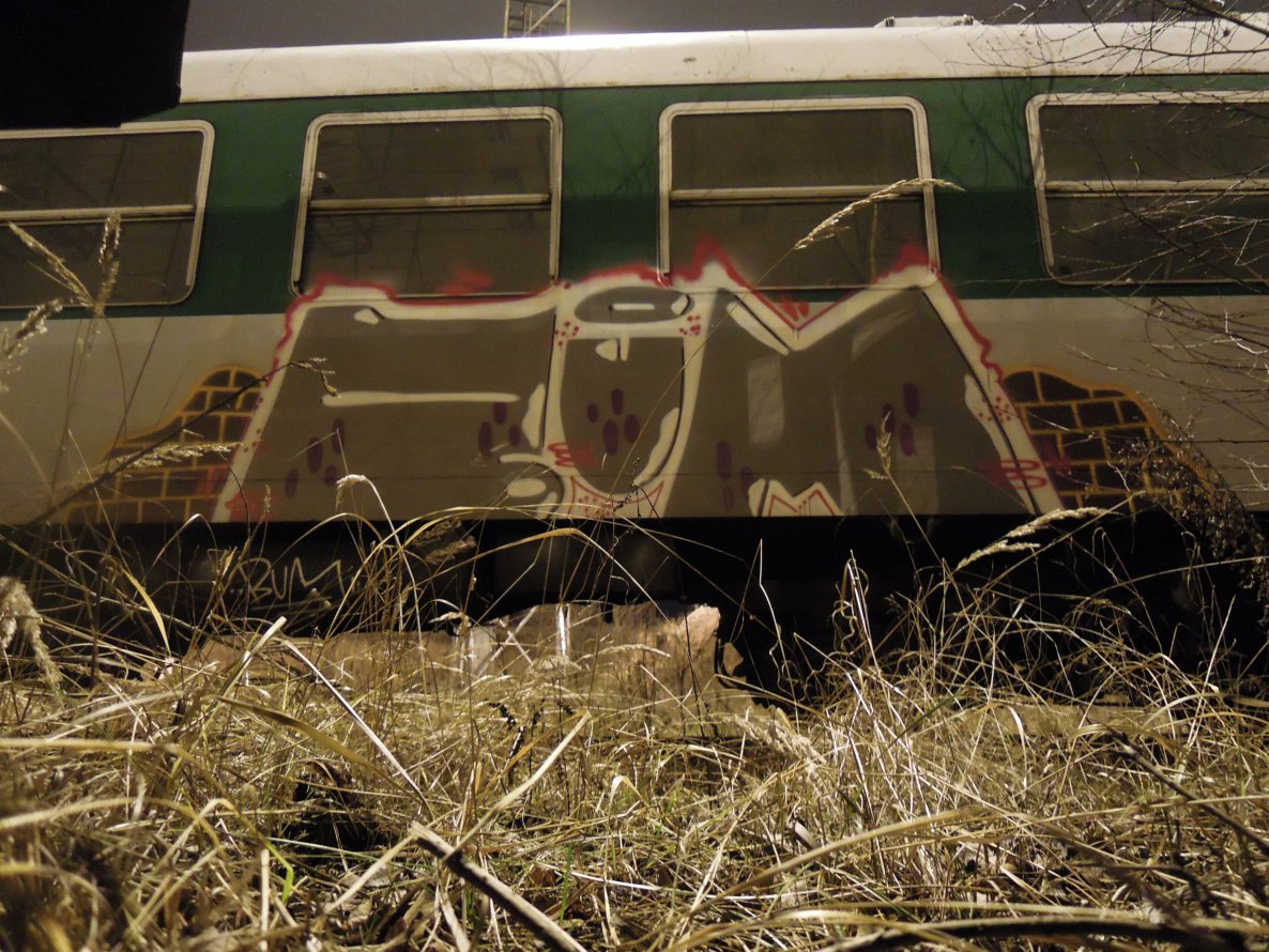 Graffiti Train in Hrusice - Photo by schmutzig - penis (2014)