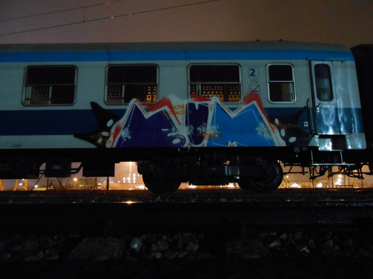 Graffiti Train - Photo by schmutzig - penis, vagina, ass (2013)