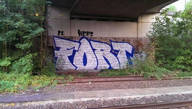 Graffiti Bombing - Photo by schwarzanabu - fort
