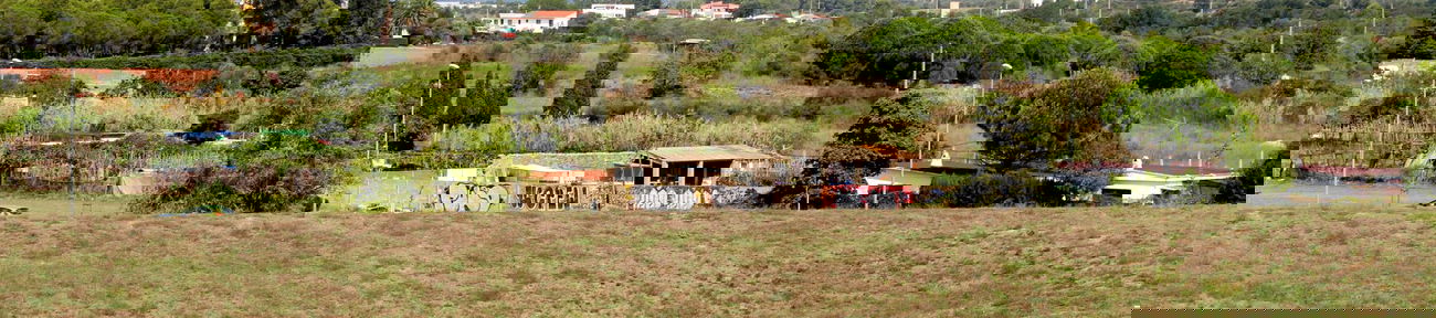 Graffiti Wall - Photo by scoobydoo