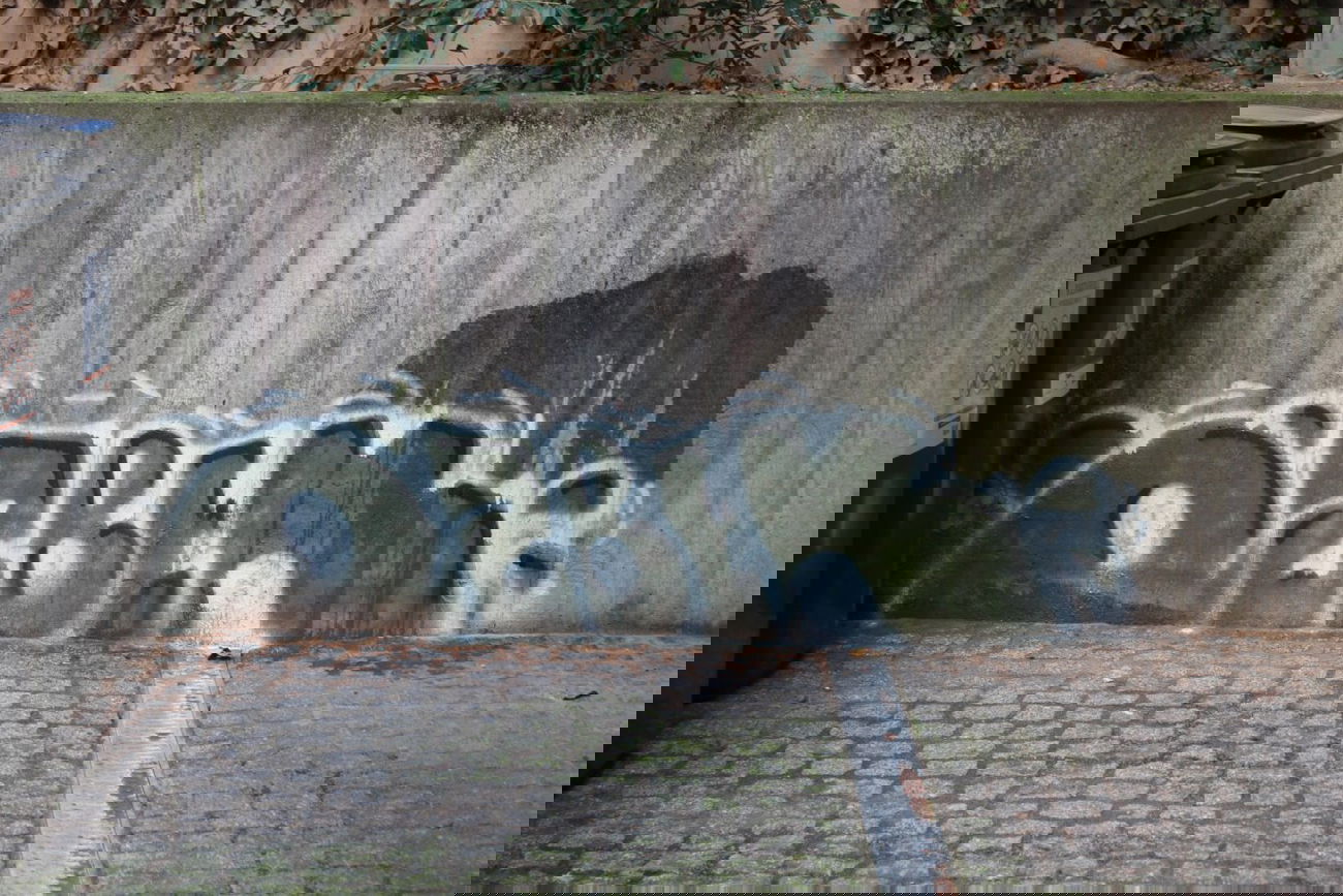 Graffiti Wall in Wiesbaden - Photo by scoobydoo - Özbek, Minibild (2015)