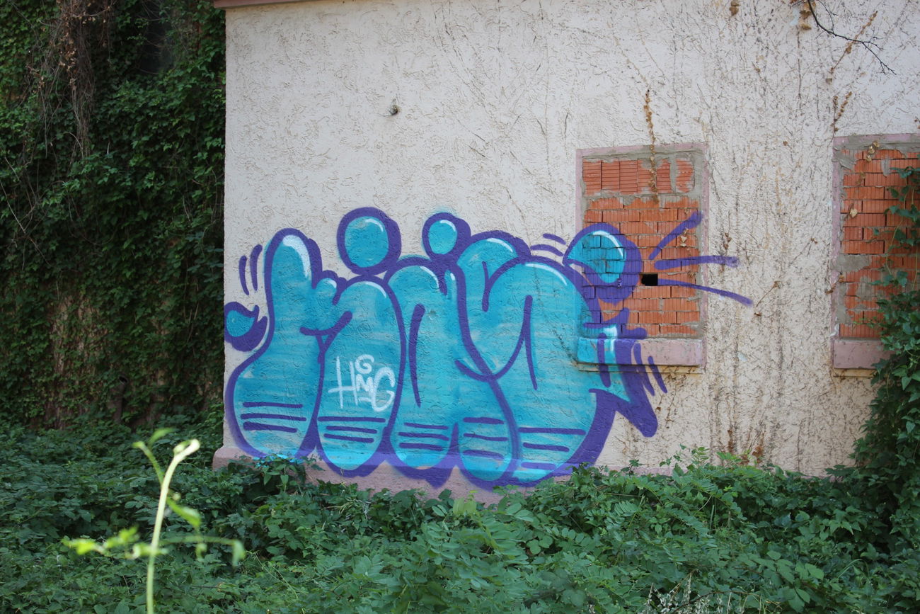 Graffiti Wall - Photo by scoobydoo - Käs, Käse, HMG