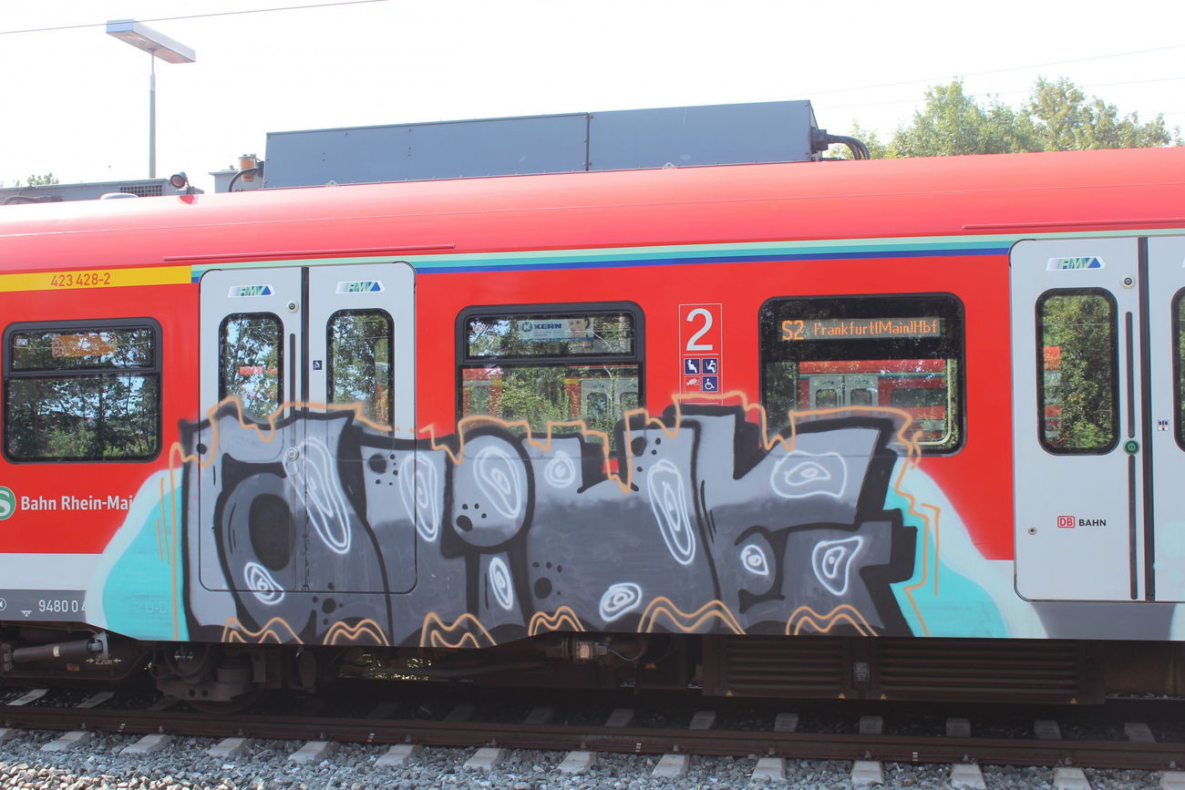 Graffiti Train - Photo by scoobydoo - Alive