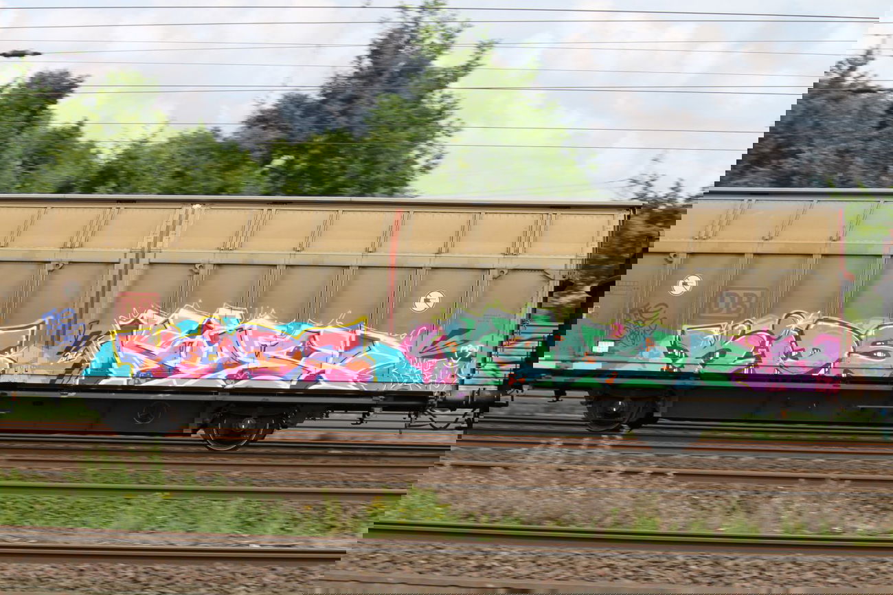 Graffiti Train in Hamburg - Photo by sdabfoe - kids