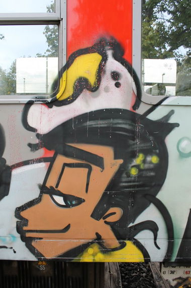 Graffiti Train in Kiel - Photo by sdabfoe - razor (2013)