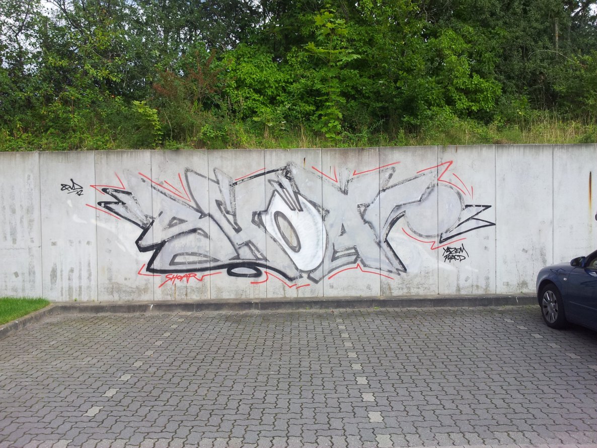 Graffiti Bombing in Schwentinental - Photo by sdabfoe - shoar, qvd (2012)