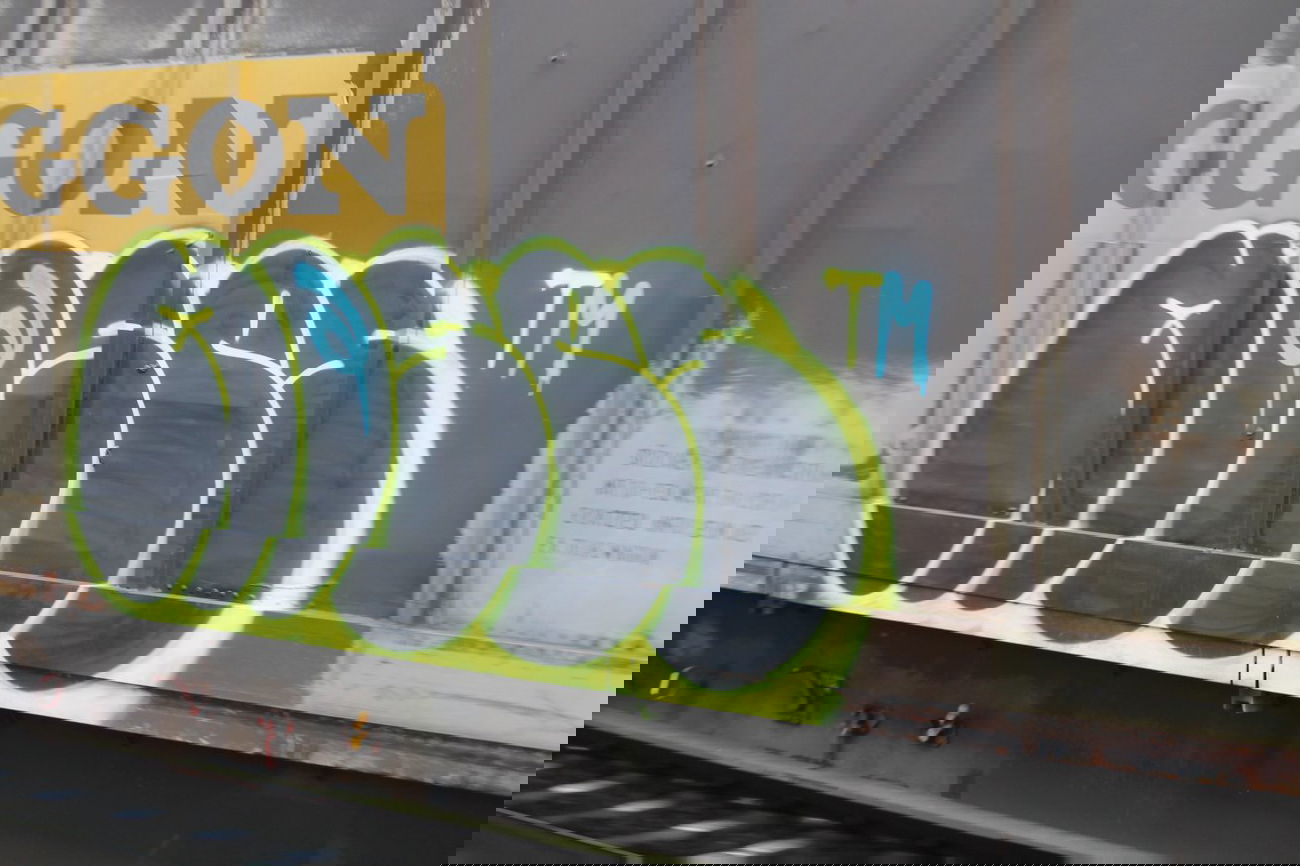 Graffiti Train in Hannover - Photo by sdabfoe - moses, topsprayer, tm (2013)