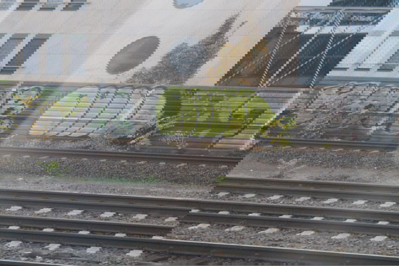 Graffiti Bombing in Hannover - Photo by sdabfoe - moses, topsprayer, tm