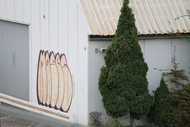 Graffiti Bombing in Hannover - Photo by sdabfoe - moses, topsprayer, tm