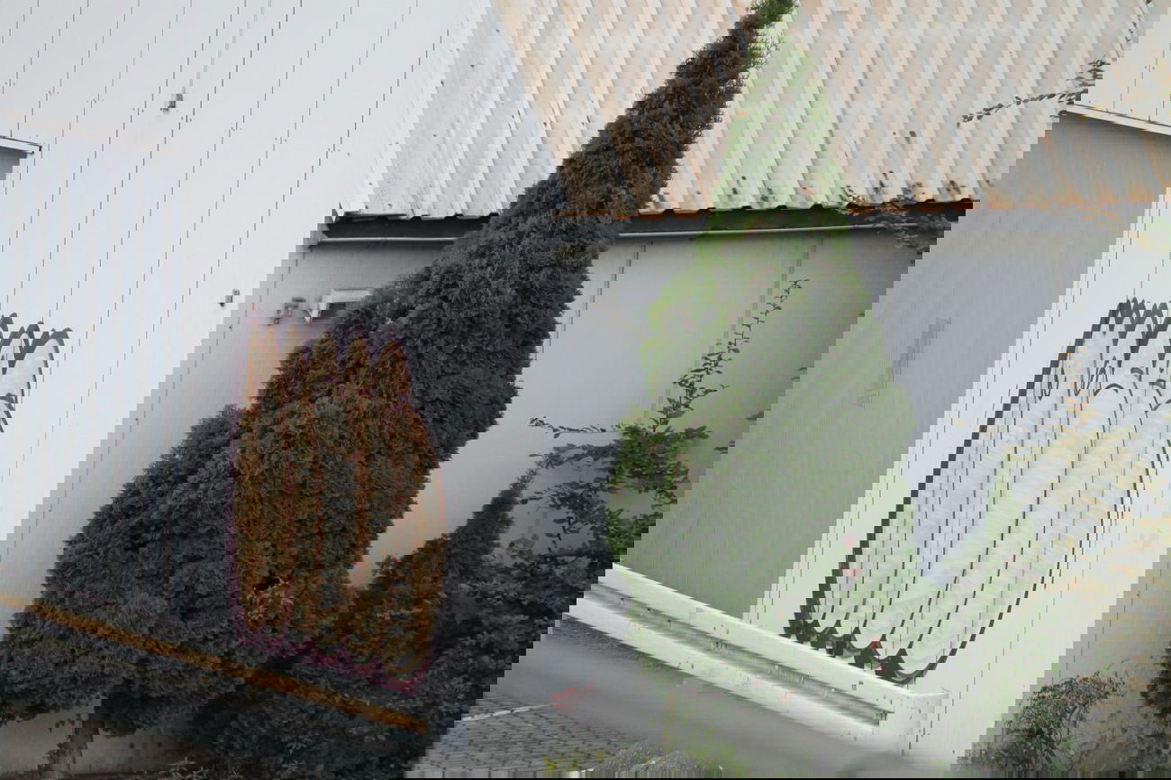 Graffiti Bombing in Hannover - Photo by sdabfoe - moses, topsprayer, tm