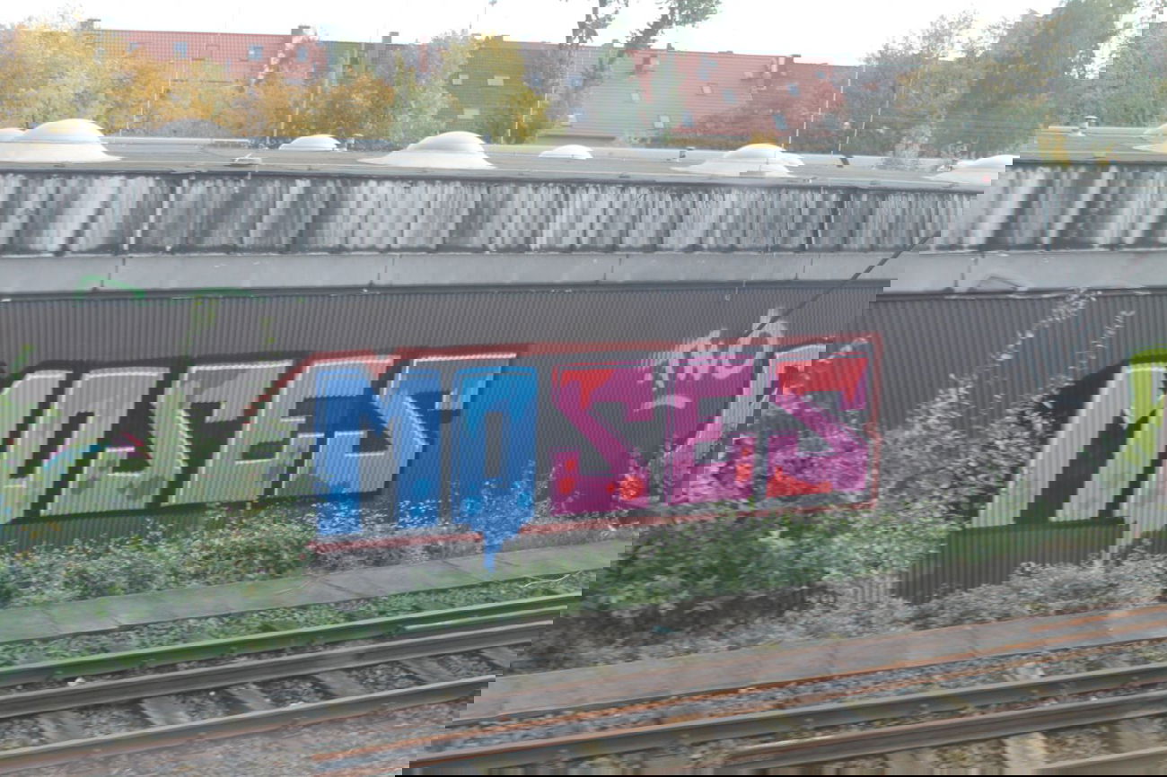 Graffiti Bombing - Photo by sdabfoe - moses, topsprayer, tm